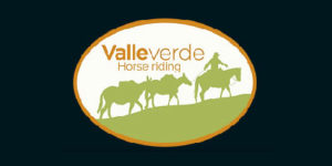 ValleVerde Logo